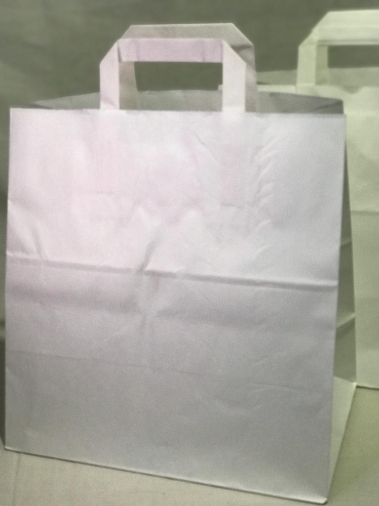 SAC KRAFT BLANC 17/250P