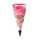 CORNETTO CRAZY ROSE GCC 24X125ML